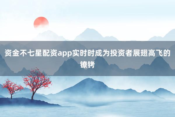 资金不七星配资app实时时成为投资者展翅高飞的镣铐
