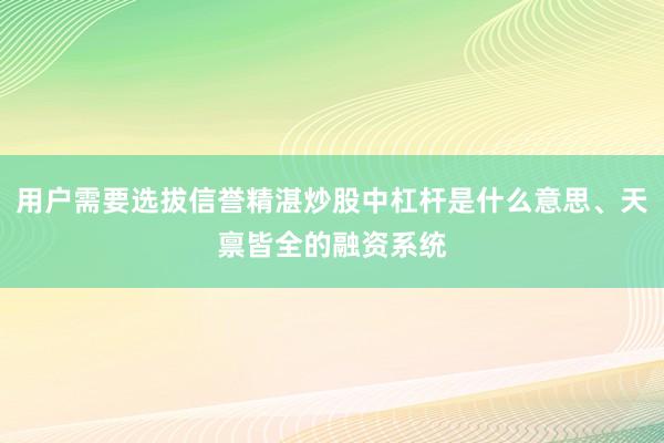 用户需要选拔信誉精湛炒股中杠杆是什么意思、天禀皆全的融资系统
