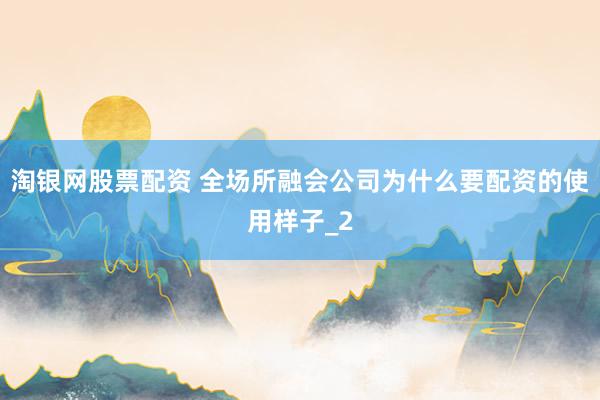 淘银网股票配资 全场所融会公司为什么要配资的使用样子_2
